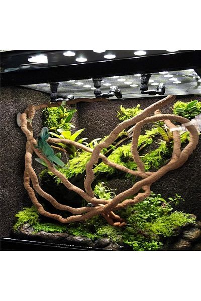 Choice 1.5m Large Flexible Vines Rattan Habitat Decoration Bendable Jungle Branches Climb Pet Supplies Rept