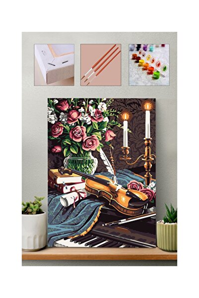 hobi24 Sayılarla Boyama Seti 40x50cm - Keman