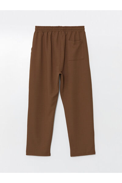 LC Waikiki Ανδρικό παντελόνι Standard Fit