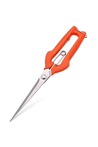 Choice مقص عنب أحمر، مقص تقليم، أداة بستنة، رقعة خضراوات، بونساي، أدوات نجارة احترافية، ستانلس ستيل