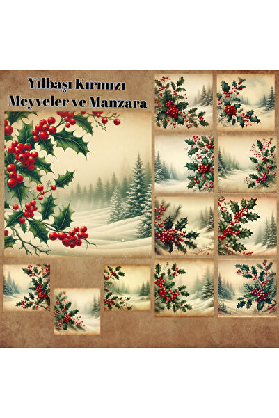 Pink Swan Craft Vintage novogodišnja Coquille naljepnica, 12 komada, mat plan...