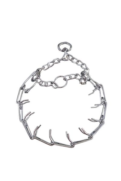 AquaHome Dog Chrome Collar Large Size