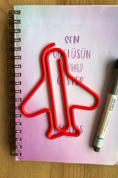 CESTOPİENO Airplane Shaped Spreader Separator