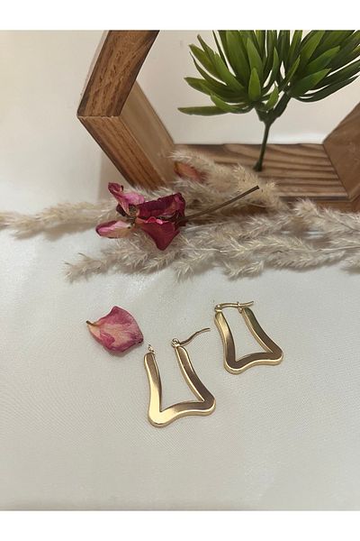stainles steel Steel Gold Color Special Cut Earrings Model