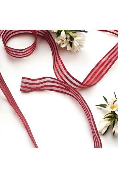 BukiroAtelier Shiny Transparent Organza Ribbon - 3m 2.5cm Packing for Engagement and Bundle