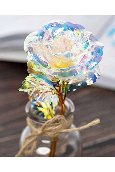 Lapidaria Sonsuzluk Gülü Hediyelik Gül -Ev Dekor - Sevgiliye Hediye-anneler Günü Hediyesi Öğretmenler Günü