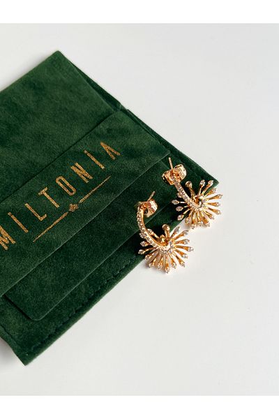 Miltonia Zircon Stone Stylish Earrings