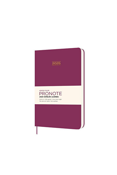 KESKİN COLOR Keskin Color 2025 Pronote Günlük Ajanda Siyah 9X14