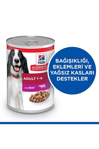 Hill's Scıence Plan Beef Medium Breed Adult Dog Canned 370 Gr