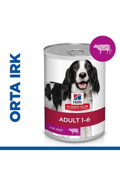 Hill's Scıence Plan Beef Medium Breed Adult Dog Canned 370 Gr