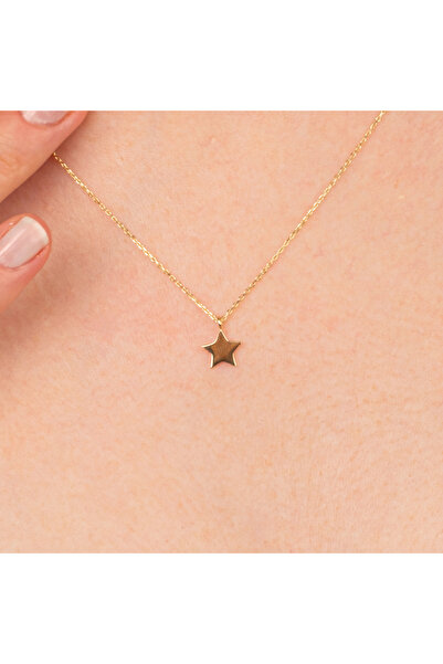 FasekGold Gümüş Kolye - Minimal Kalp 925 Ayar Gümüş Kolye