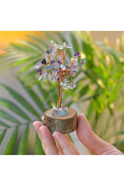 Taş Sandığı Florit Taşı Ağaç