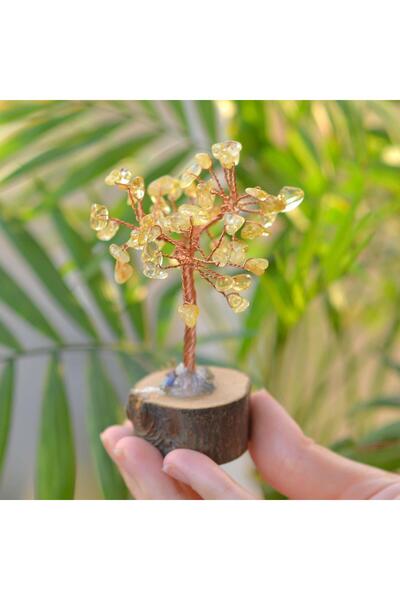 Taş Sandığı Sitrin Taşı Ağaç