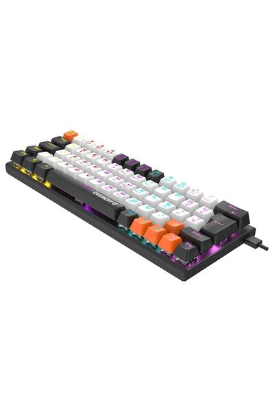Everest Parley Siyah/Beyaz Rainbow Aydınlatmalı Türkçe Q Red Switch Mekanik Kablolu Gaming Oyuncu Klavyesi