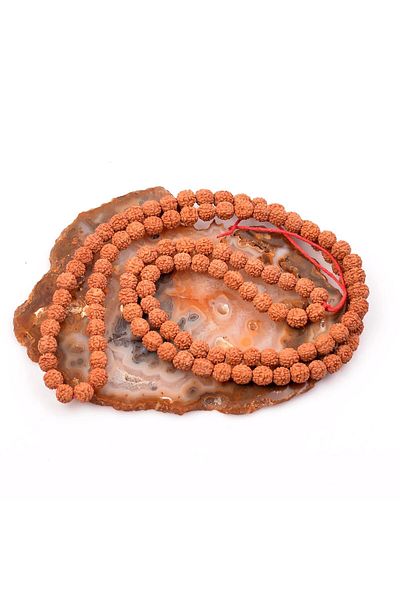 Taş Sandığı Rudraksha Seed String - 8 Mm Diameter