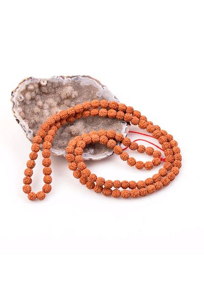 Taş Sandığı Rudraksha Seed String - 8 Mm Diameter
