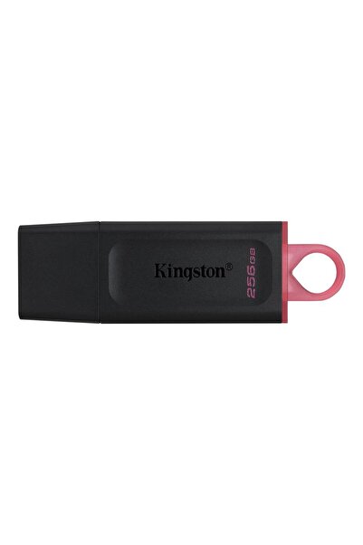 Kingston Technology KİNGSTON data-z998 DTX-256GB 256GB USB3.2 Gen 1 DataTrave...