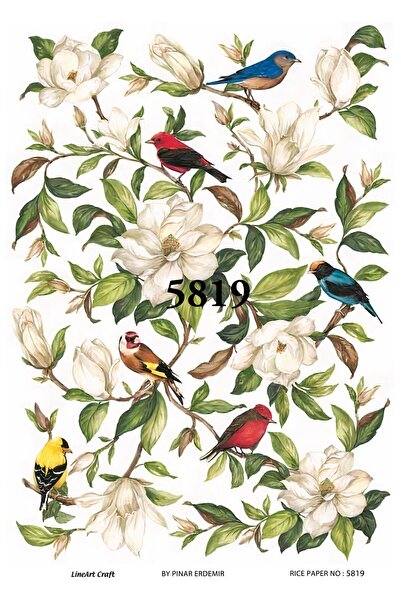 LİNEART Lineart Pirinç Dekopaj Kağıdı 29X42 No:L5819