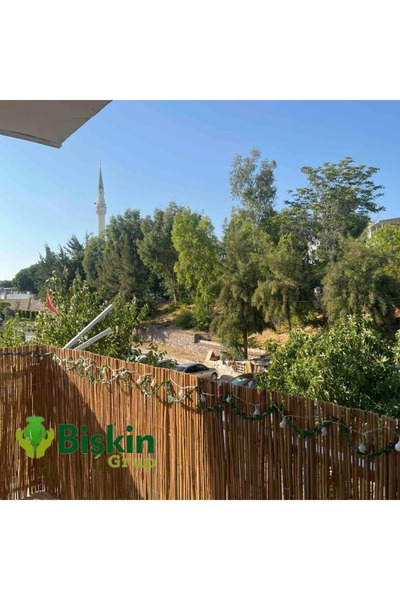 BİŞKİN 50CM x 6METRE Doğal Bambu Kamış Çit, Hasır, Bahçe ve Balkon Deokarasyo...