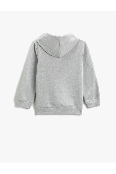Koton Hooded Sweatshirt with Plush Applique Detail