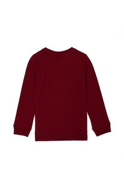 U.S. Polo Assn. Children's Burgundy Crew Neck Sweatshirt 50270759 -Vr014