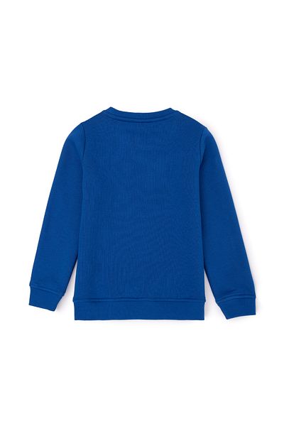 U.S. Polo Assn. Hanorac Saks pentru băiat 50270796 -vr045