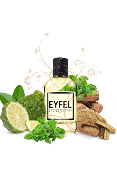 Eyfel Parfüm Eyfel Erkek Parfüm M27 100 ML