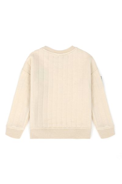 U.S. Polo Assn. Hanorac de piatră pentru băiat 50270816 -VR049