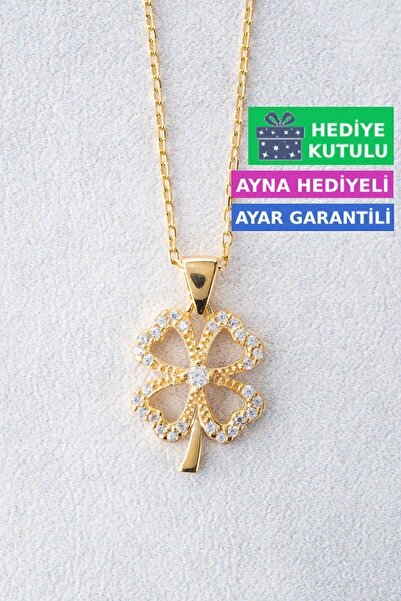 Jewelmim Dört 4 Yapraklı Yonca Gümüş Kolye 18 Ayar Sarı Altın Kaplama 925 Aya...