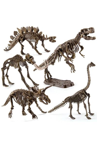 Choice Assemble Dinosaur Bones Triceratops Skeleton Fossil Mammoth Mammuthus Assembled  Tyrannosaurus Re...