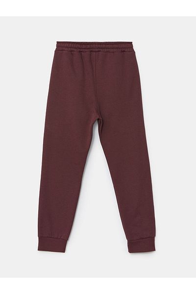 LC Waikiki Boy's Thick Jogger Sweatpants with Elastic Waist