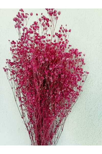 Esse Bahçe Şoklu Cipso Fuşya