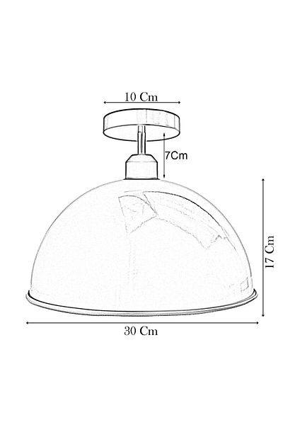 RİOLİGHT Red Vintage, Modern, Rustic 1Xe27 Single Metal Plophonier - Chandelier Diameter: 30cm