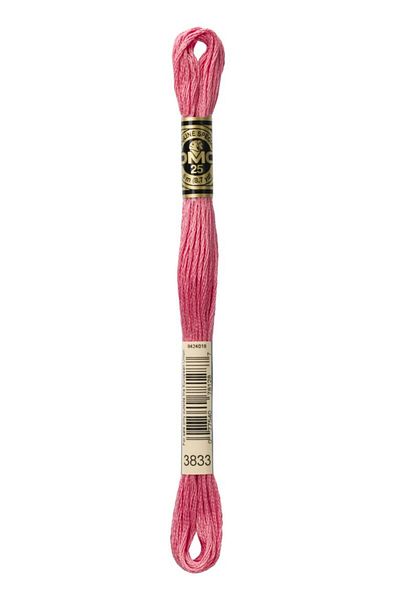 Dmc 2 Muline Yarns with Number 3833