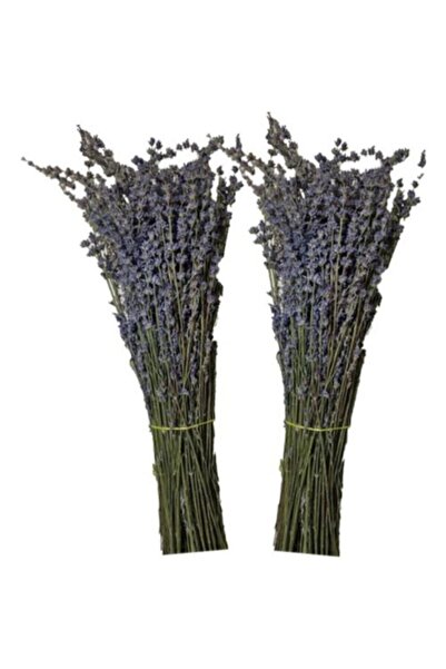 Genel Markalar Mor Dönemde Kurutulmuş 2 Adet Lavanta Demeti