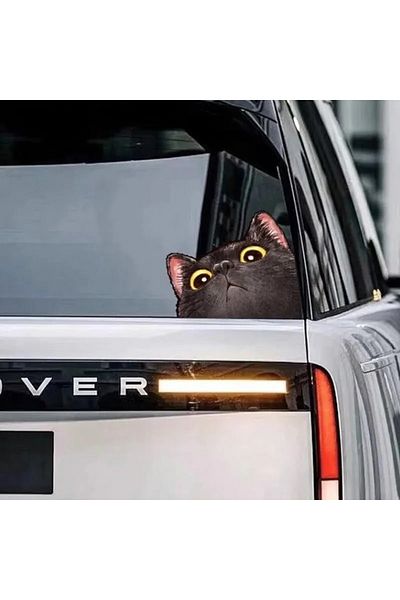 Choice Probe Cat Creative Expression Car Stickers Electric Motorcycle Body Triangle Window Luggage Lapto...
