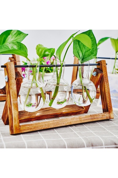 Choice Vintage 3 1pc, Tabletop Glass Planter Propagation Station Hydroponic P...