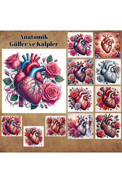 Pink Swan Craft Vintage Anatomski Srca i Ruže 12kom Scrapbook Mat Planer Nalj...