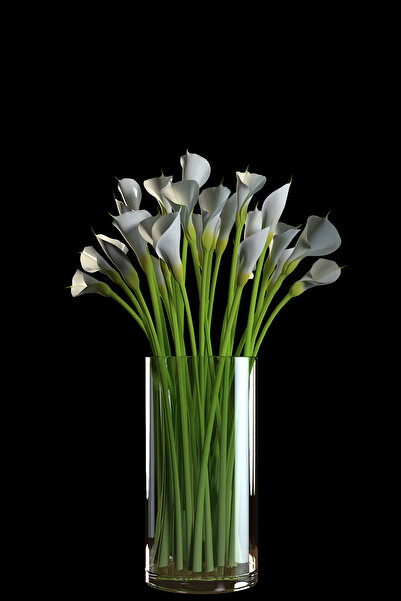 Paşa Cam Vasă cilindrică din sticlă 12 cm lățime 15 cm înălțime bază groasă tăiată din sticlă groasă