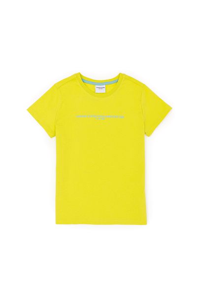 U.S. Polo Assn. Boy's Peanut Green Crew Neck T-Shirt 50281568 -Vr087