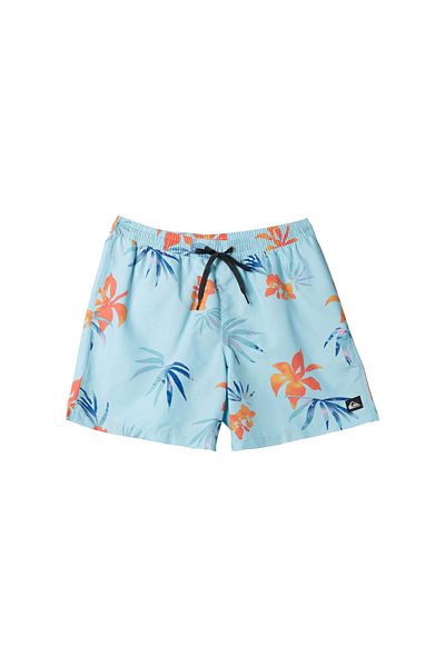 Quiksilver Καθημερινή Mix Volley 15 Ανδρικό Volley Short Ανδρικό Volley Short Aqyjv03147
