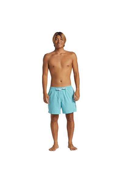 Quiksilver Ανδρικό μπλε σορτς Everday Vert Volley 16 Aqyjv03139-bha0