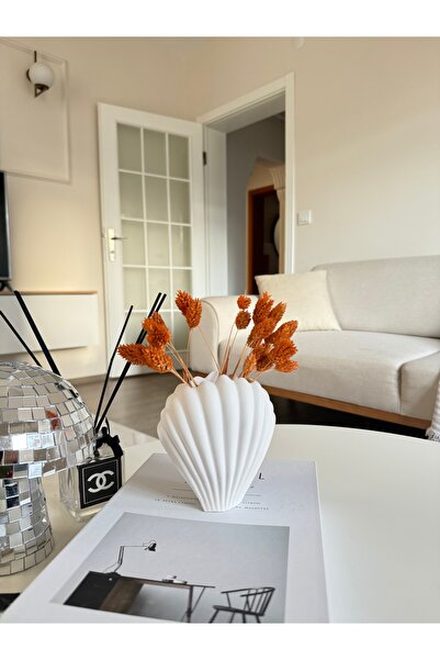 jeliii.co Deniz Kabuğu Vazo