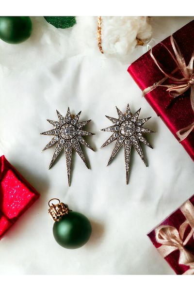 FAYRA ACCESSORIES North Star Earrings with Zirconia