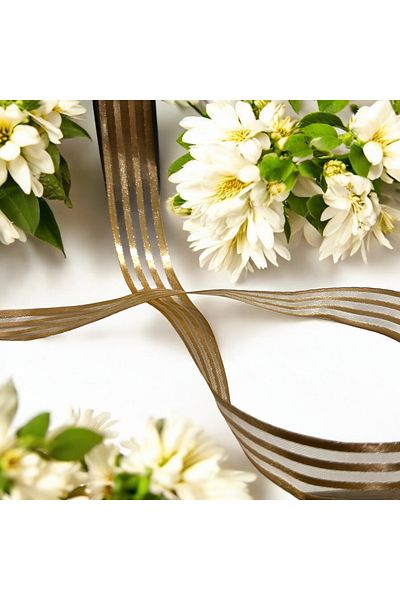 BukiroAtelier Γυαλιστερή διάφανη κορδέλα οργάντζα - 3m 2,5cm Συσκευασία για αρραβώνα και δέσμη