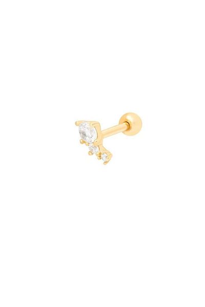 Erer Gümüş Silver Targus Kikirdak Piercing Single Kupe