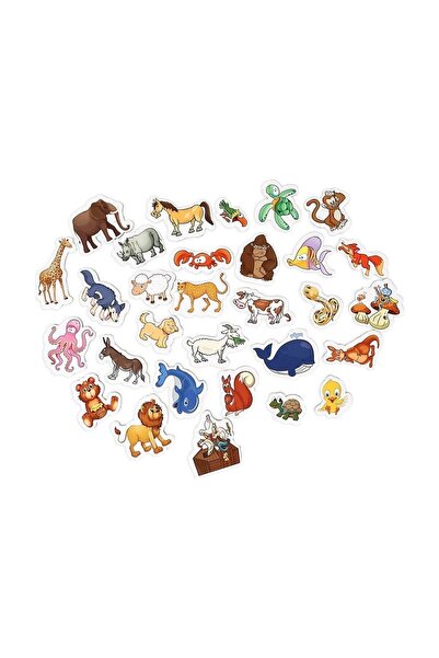 Diytoy Manyetik 3'lü Set Hayvanlar, Meyve-sebzeler, Taşıtlar