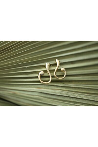 Accessories Spacıous Earrıngs