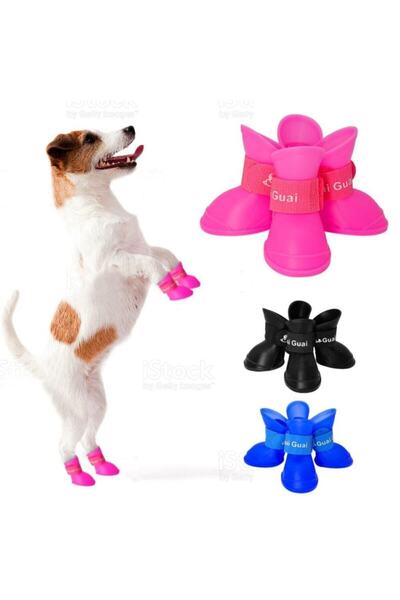 Dazelife Silikon Köpek Ayakkabısı Small