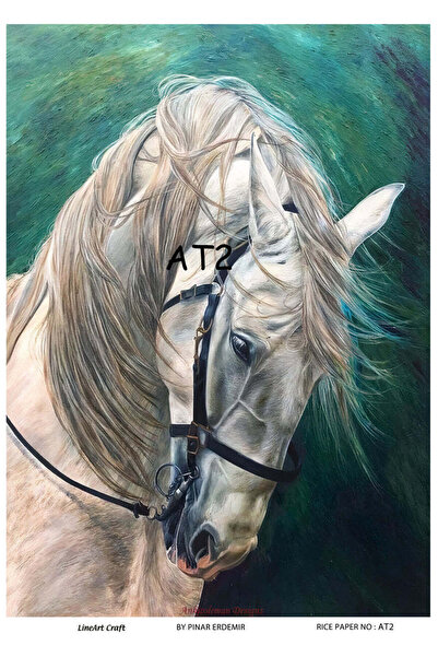 LİNEART Lineart Pirinç Dekopaj Kağıdı No:AT02- 29x42cm